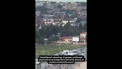 Bondi Beach Shooting Hoax