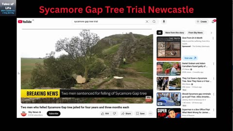 Sycamore Gap Tree Trial Newcastle