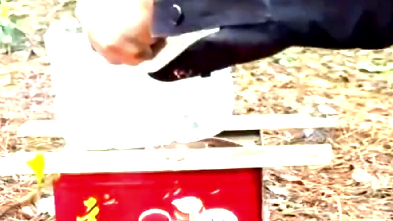 Some tricks in times of danger in the forest