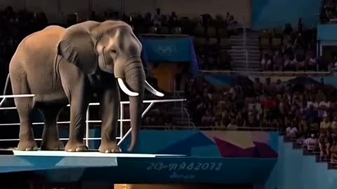 POV: Elephant Joins the Olympics 😂🐘🏅