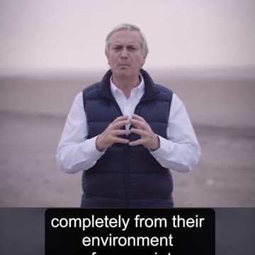 José Antonio Cast a favor de la cadena perpetua