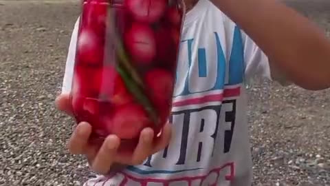 Vinegar onion
