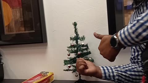 Coworkers Light Tiny Christmas Tree