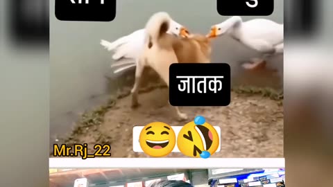 Rahu or shani ka prakop