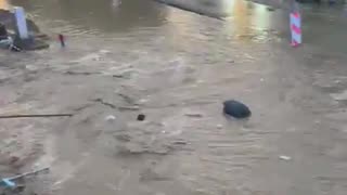 Miejscowość Pilchowice w powiecie gliwickim. Działania trwają.