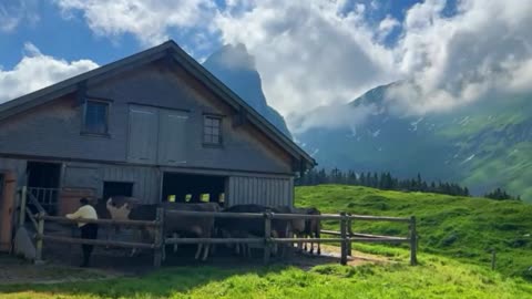 Daily Life in Swiss Alpine Villages: Traditions, Challenges & Beauty