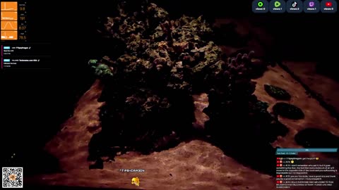 24/7 Real Live Reef Stream