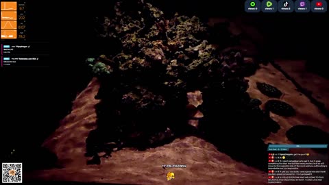 24/7 Real Live Reef Stream