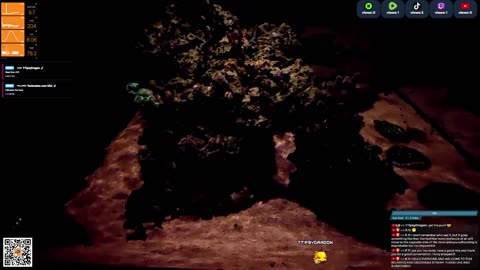 24/7 Real Live Reef Stream