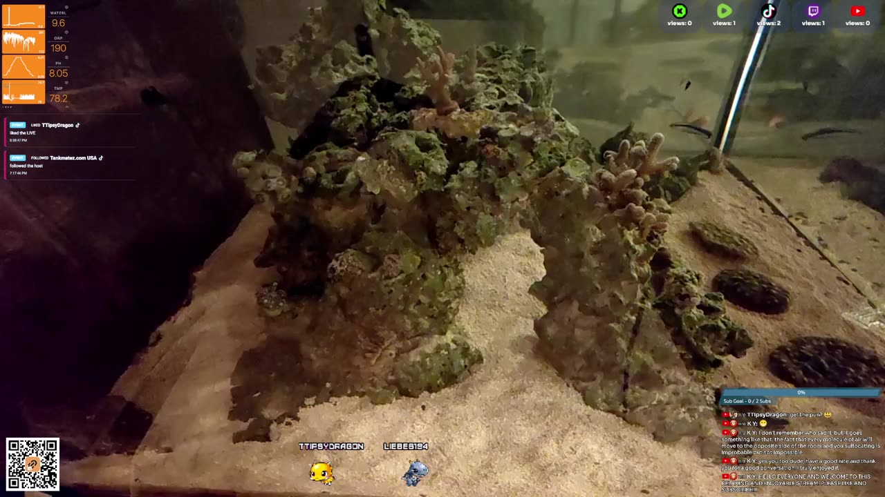 24/7 Real Live Reef Stream
