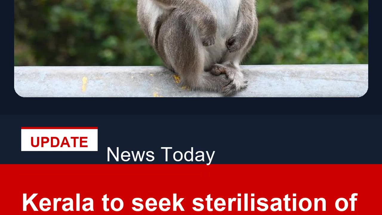Kerala to seek sterilisation of Bonnet macaque near forests