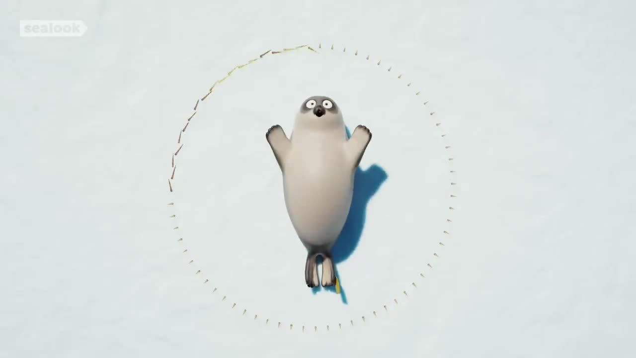 Teeny Tiny Baby Seal | SEALOOK | EP.09