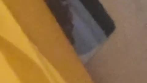 👀😱 You Won't Believe What This Little Thing Really Is... | TheHauntingHour