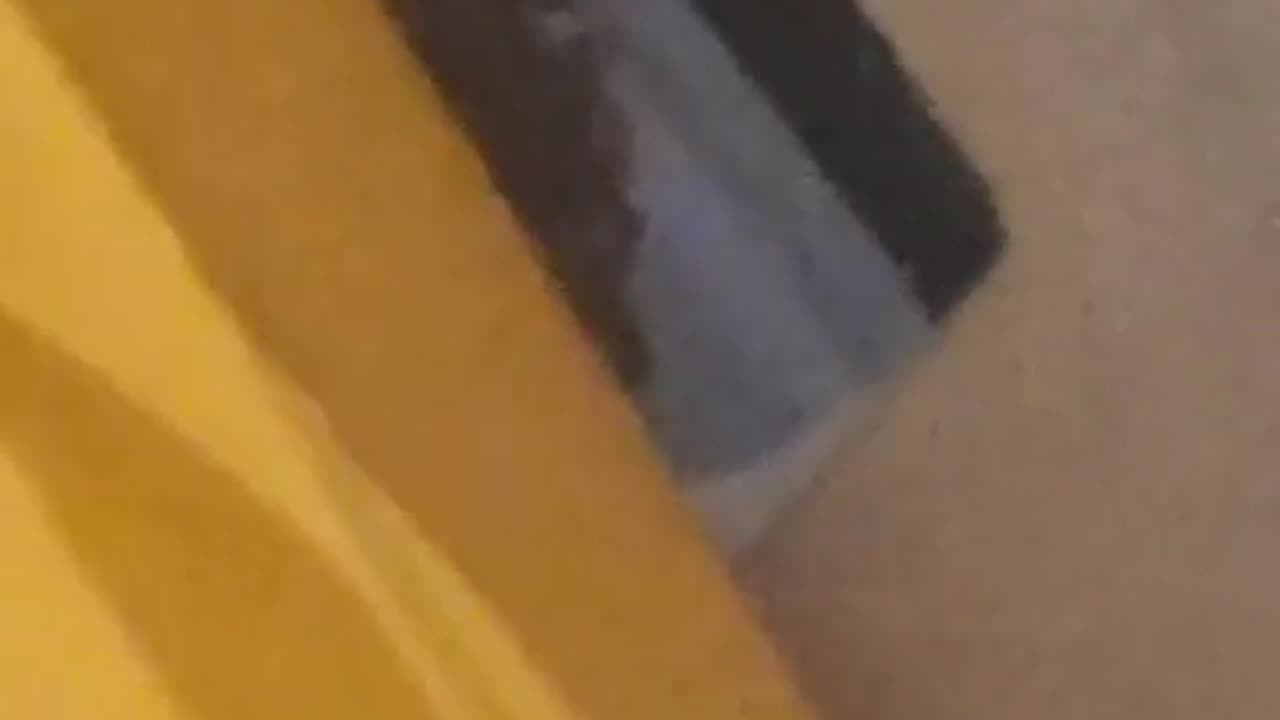 👀😱 You Won't Believe What This Little Thing Really Is... | TheHauntingHour