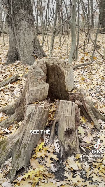 Cranberry Township Community Park - Part 1/3