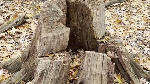 Cranberry Township Community Park - Part 1/3