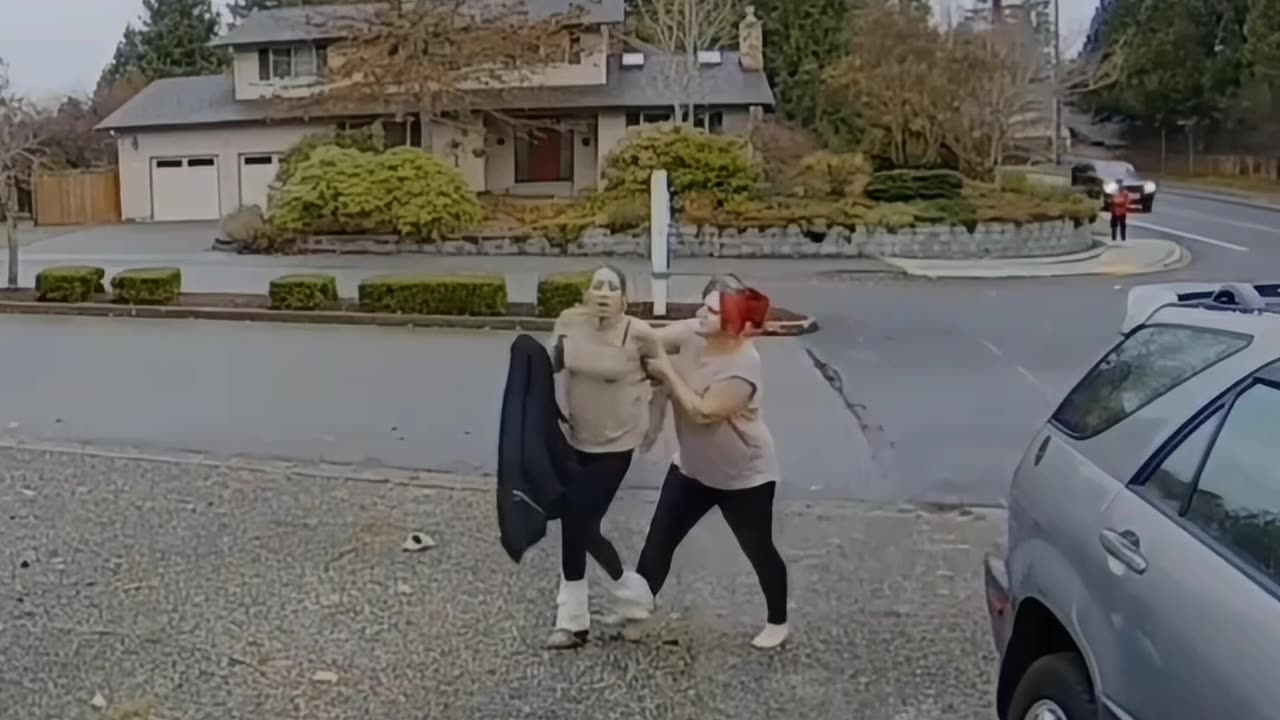 Catching Thieves Compilation