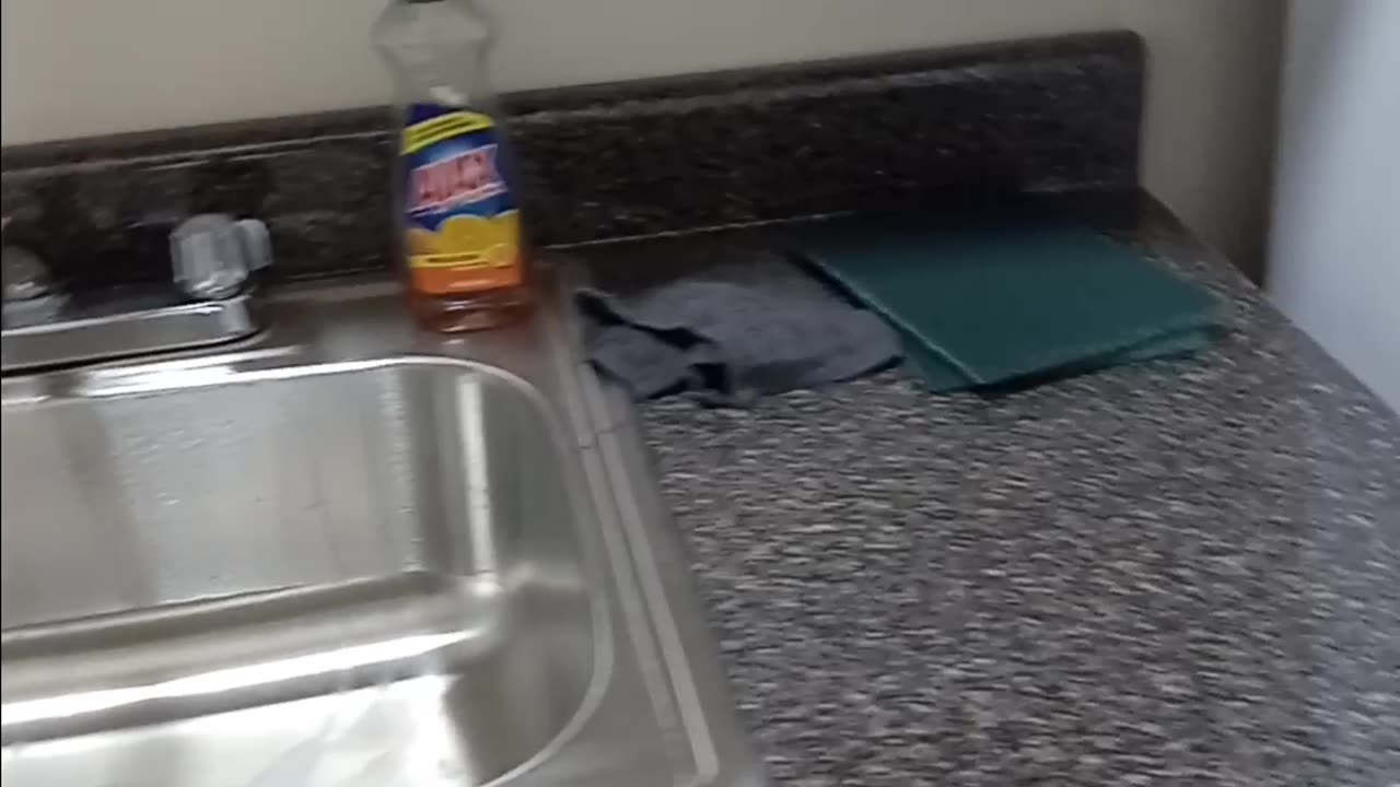 I'm showing everyone my new apartment in The Bronx