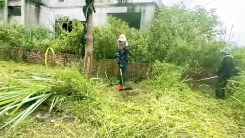 Enjoy the work of clearing weeds - weekday