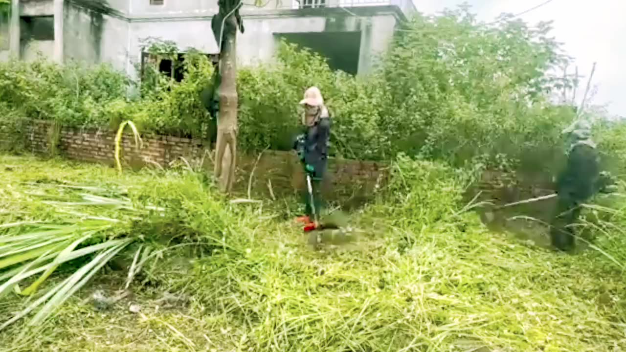 Enjoy the work of clearing weeds - weekday