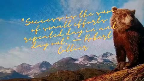 There is no instant way to achieve success 14
