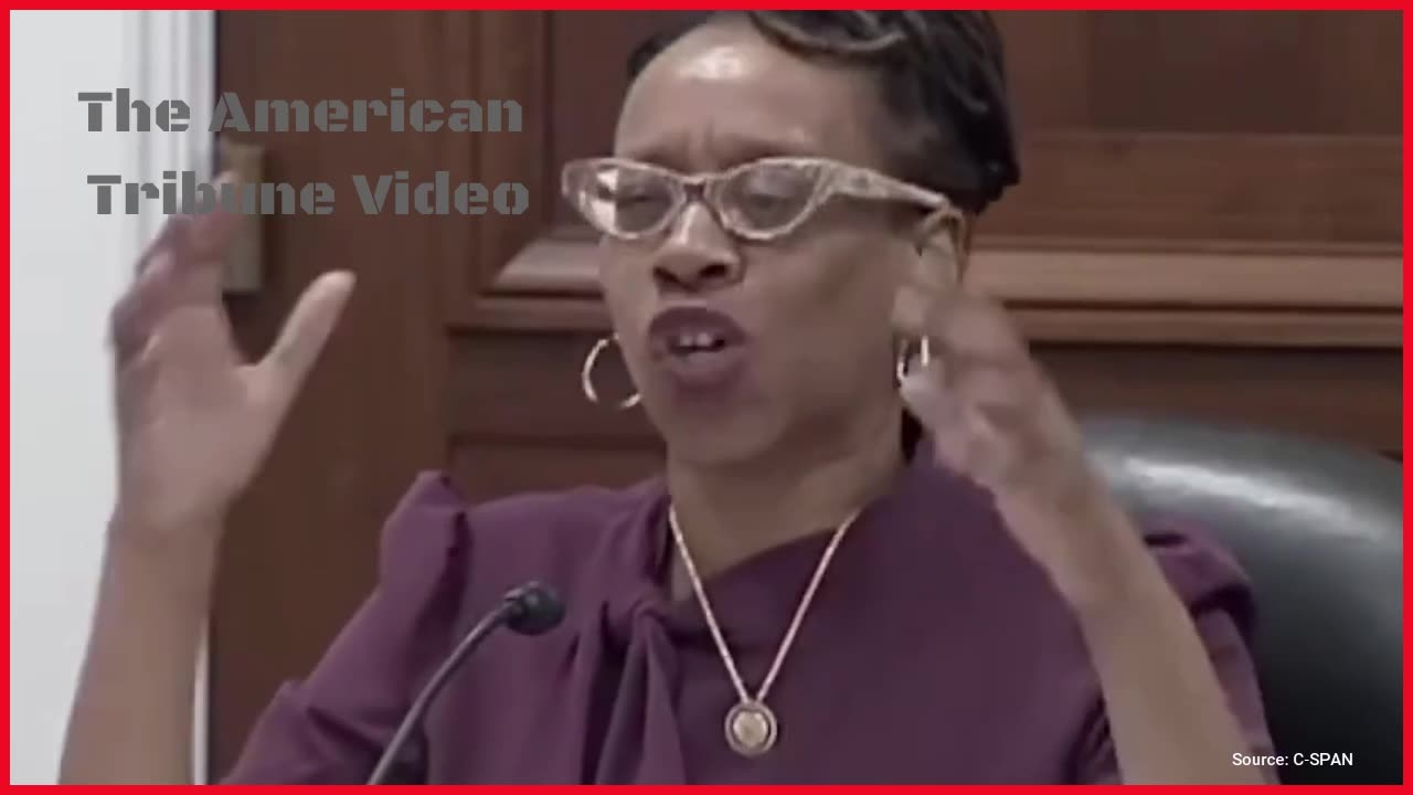 Woke Democrat Goes Berserk, Starts Screaming at Republicans in the Middle of Hearing