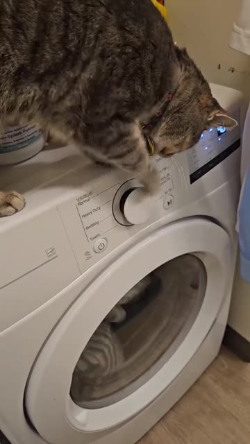 The reason why the washing cycle takes so long