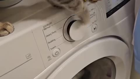 The reason why the washing cycle takes so long