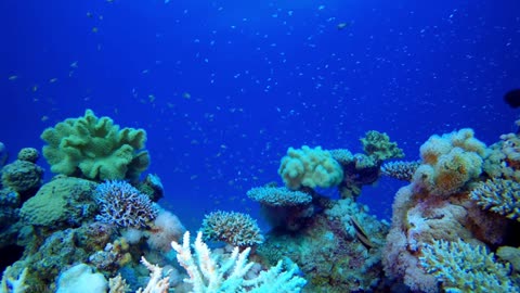 beautiful natural ocean 3