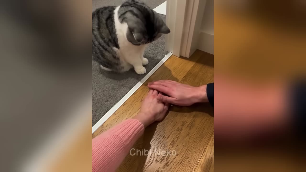 Laugh to tears