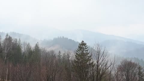 A sprawling family thrives in harmony at the world's rugged crest, where mountain peaks kiss the sky