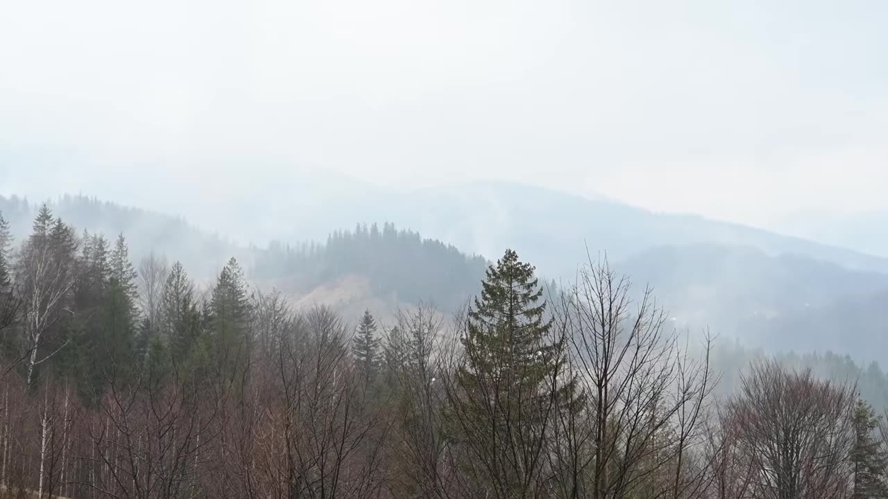 A sprawling family thrives in harmony at the world's rugged crest, where mountain peaks kiss the sky