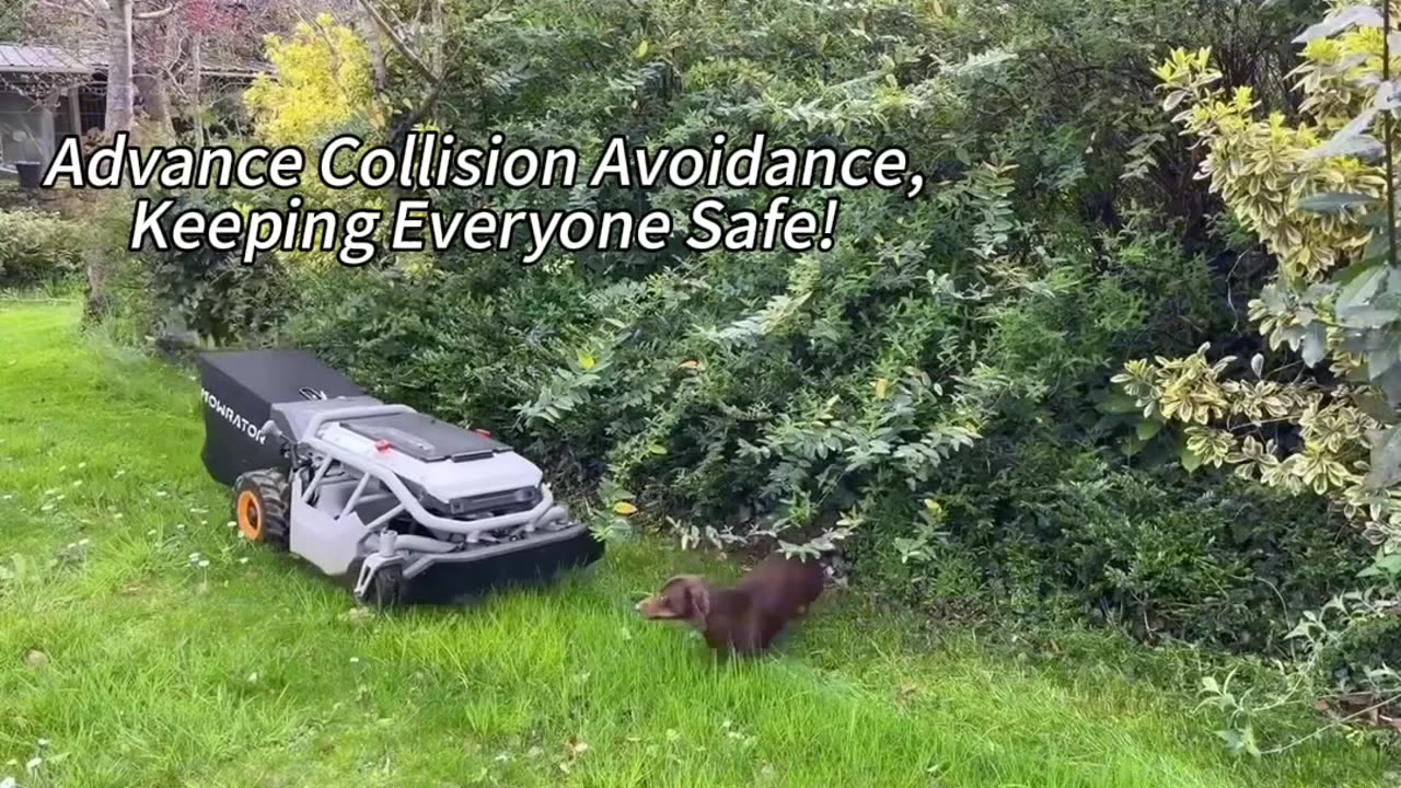 Reemo – Mowrator - Summer sale