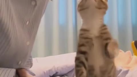 Kiss my tail