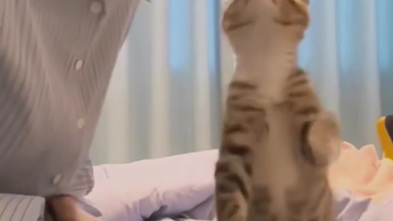 Kiss my tail