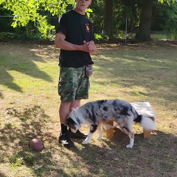 Structured Play Games Training and Practice short g