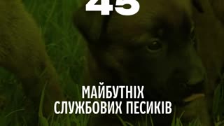 The Year of Border Guards in Numbers. The Year We Endured Together💪