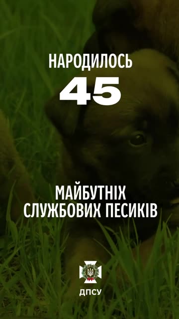 The Year of Border Guards in Numbers. The Year We Endured Together💪