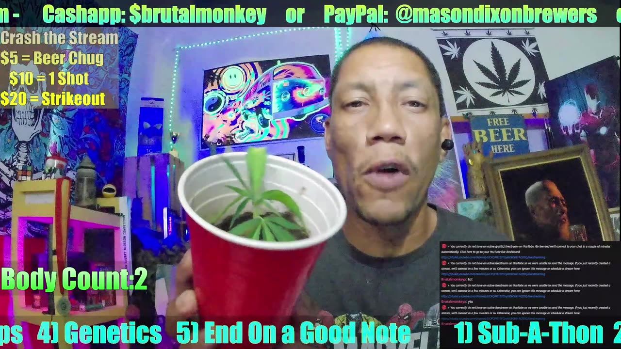 Livestream Promo(Sauced Up Sundays/Monkey Biz Mondays)