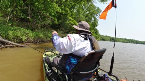 CAST TO CATCH 12in CRAPPIE