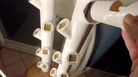 Sarge's Smoke Break #65: Mrs. Sarge's Indoor Garden 31 Dec 2025