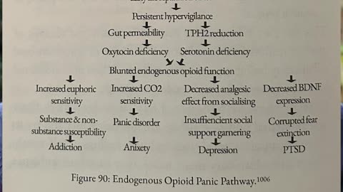panic disorder: what happens if instead of 'thinking better' we felt better?