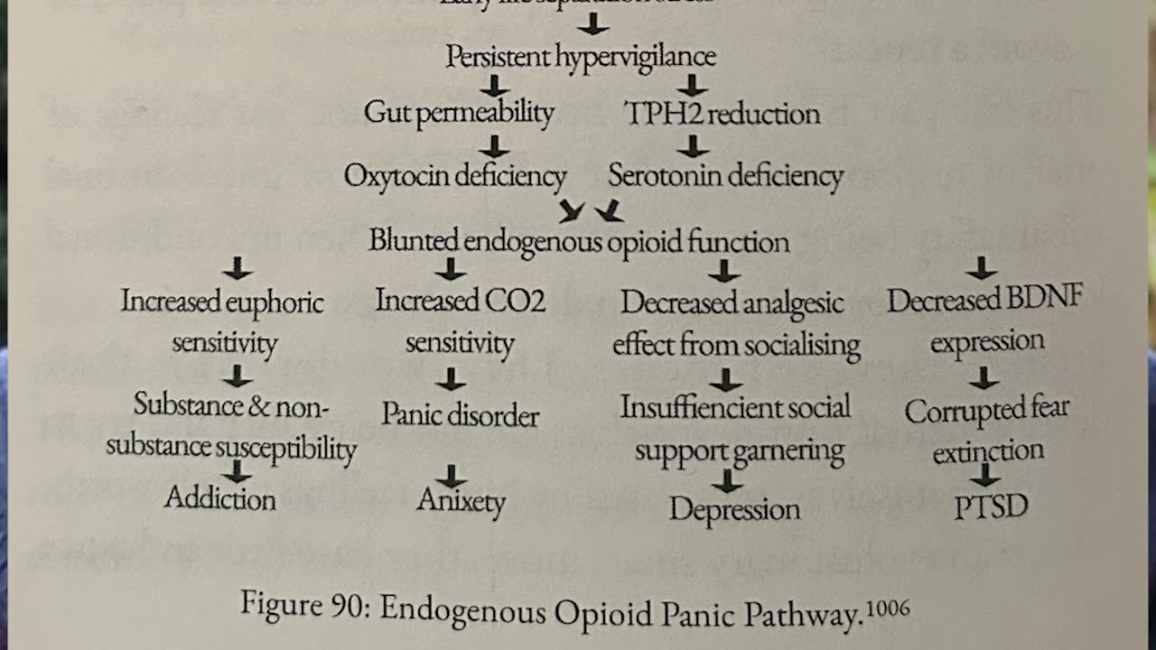 panic disorder: what happens if instead of 'thinking better' we felt better?