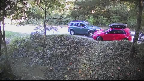 Dashcam Crashes Danger Videos