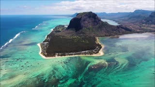 Courage With Wisdom Giant Sequoia Tree Nov 2022