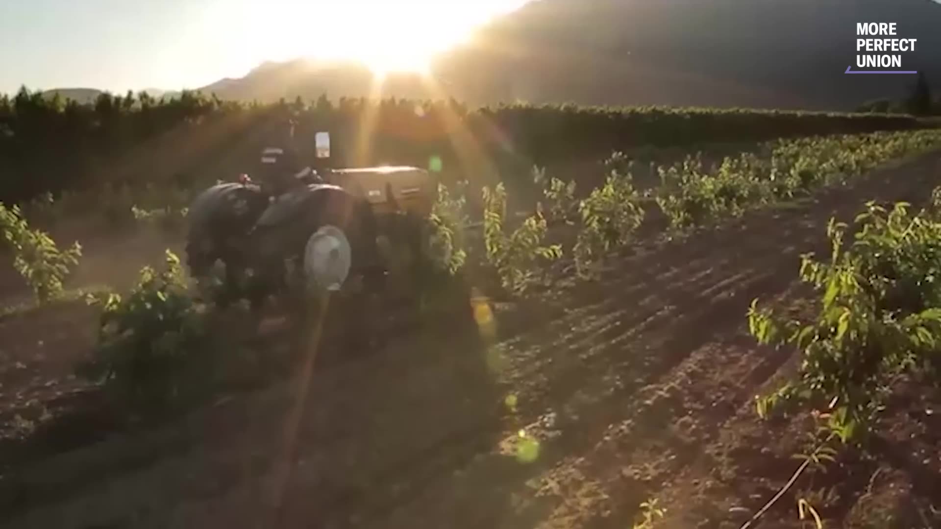 We Went to Arkansas. The Farm Crisis Will Shock You