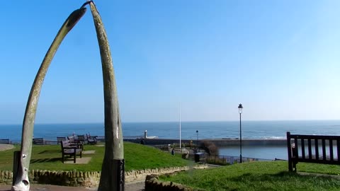 Whale jaw bones!