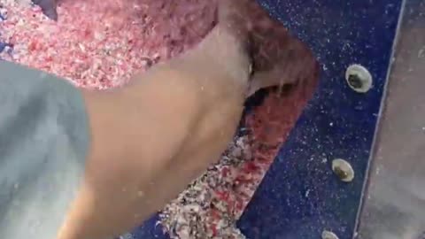 Precious Plastic Shredding Series