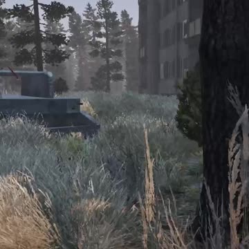 Would You Call This A Quick Scope In DayZ