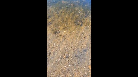 #foryoupage#viralvideo